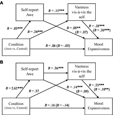 Awe promotes moral expansiveness via the small-self